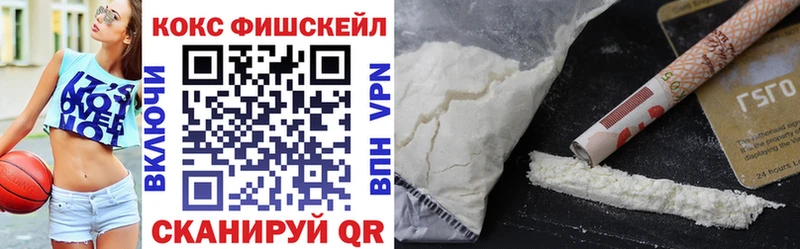 Купить закладки  Бородино  COCAIN VHQ 