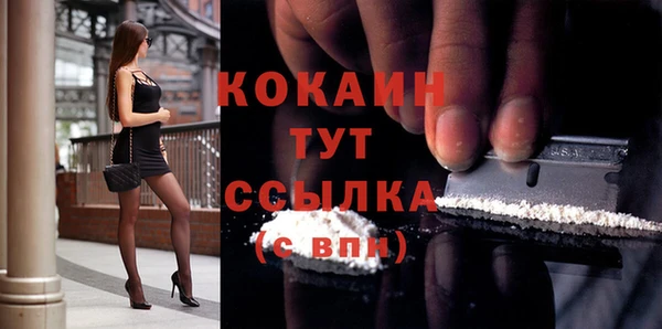 шишки Заволжск