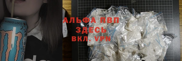 шишки Заволжск