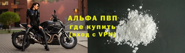 шишки Заволжск