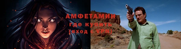 шишки Заволжск