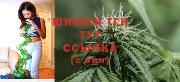метадон Заводоуковск