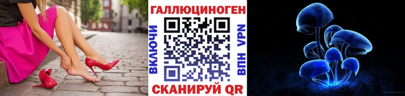 Купить  Бородино  Псилоцибиновые грибы Psilocybine cubensis 
